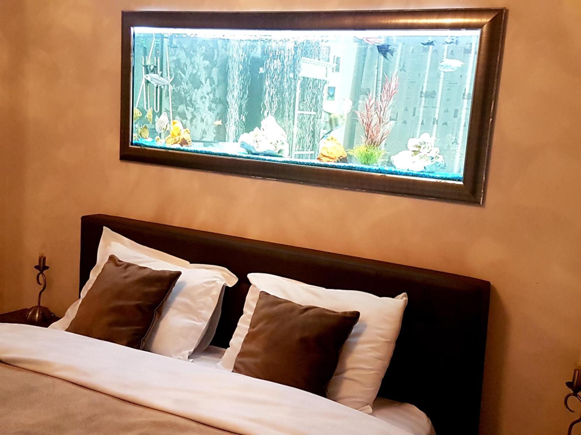 Magic Apartment Брашов Екстериор снимка
